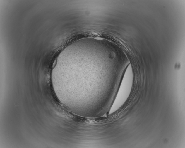 X0000089920613200707201819