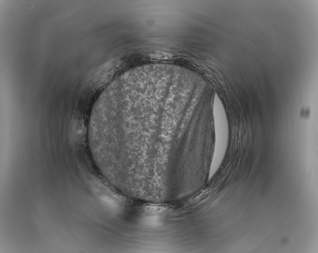 X0000089920614200707201819