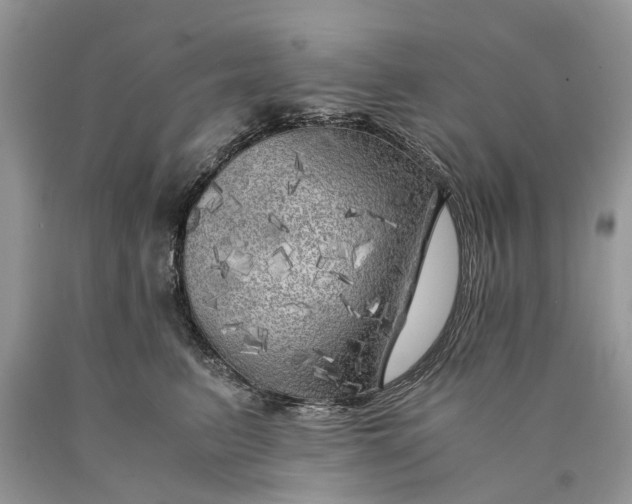 X0000089920615200707201819