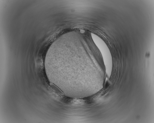 X0000089920617200707201819