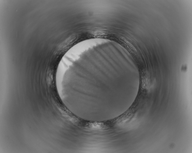 X0000089920618200707201819