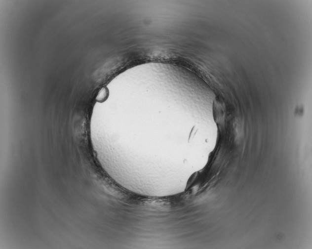 X0000089920619200707201819