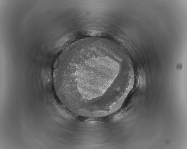 X0000089920620200707201819