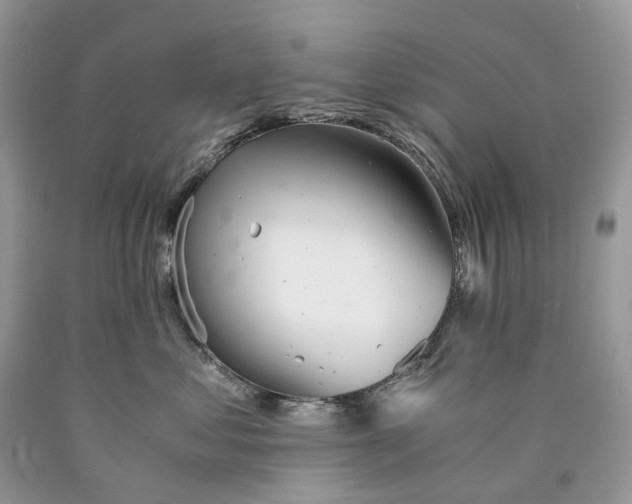 X0000089920621200707201819