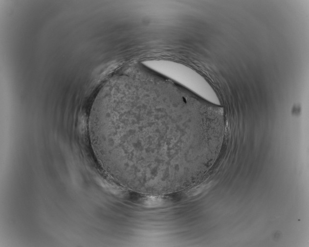 X0000089920623200707201819