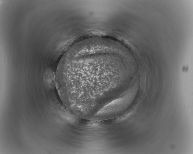 X0000089920624200707201819