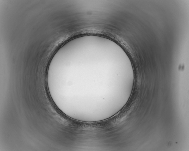 X0000089920625200707201819