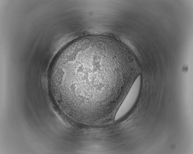 X0000089920626200707201819