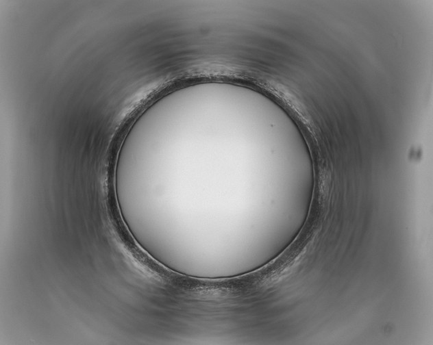 X0000089920629200707201819