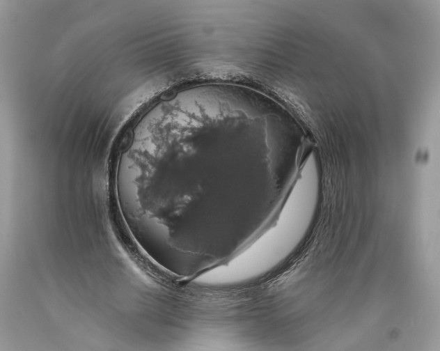 X0000089920630200707201819