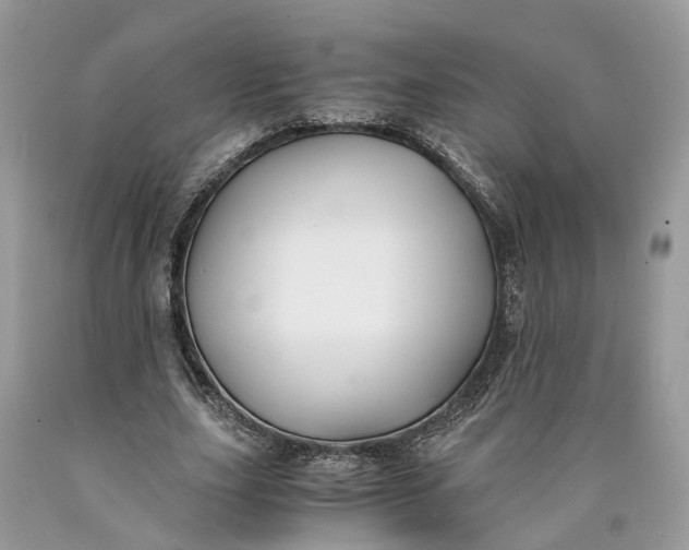 X0000089920631200707201819