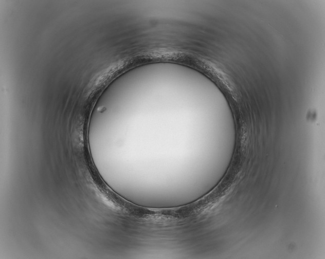 X0000089920633200707201819