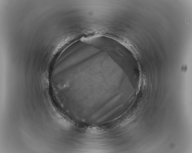 X0000089920634200707201819