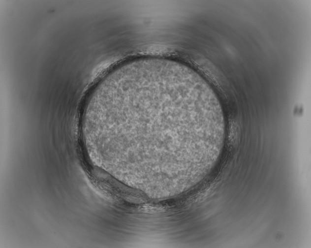 X0000089920636200707201819