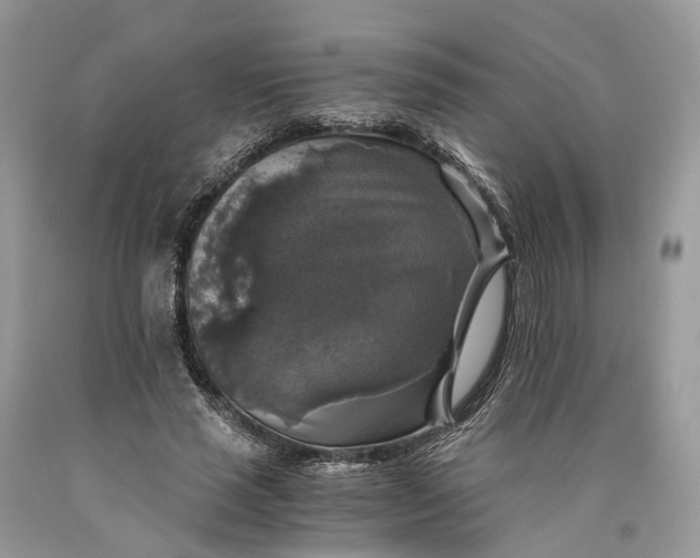 X0000089920637200707201819