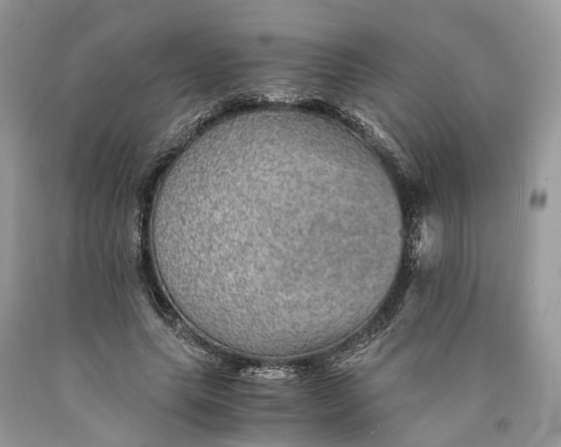 X0000089920639200707201819