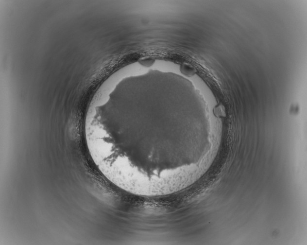 X0000089920641200707201819