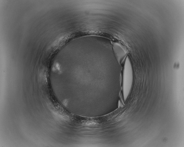 X0000089920643200707201819