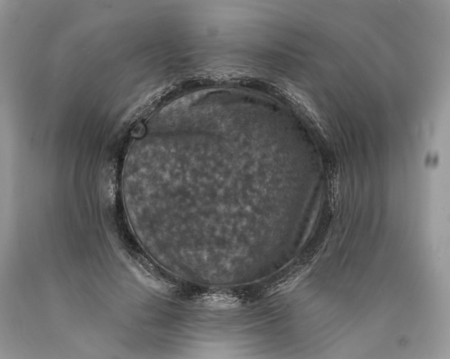 X0000089920644200707201819