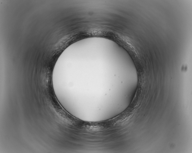 X0000089920645200707201819