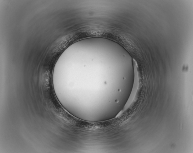 X0000089920646200707201819