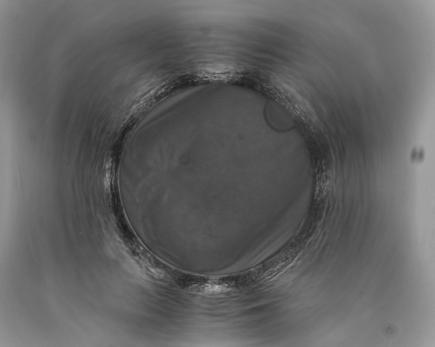 X0000089920647200707201819