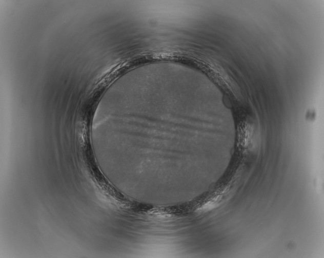 X0000089920648200707201819