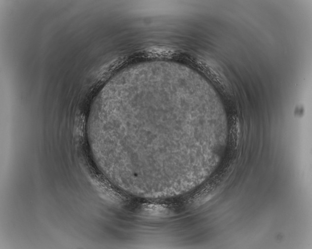 X0000089920649200707201819