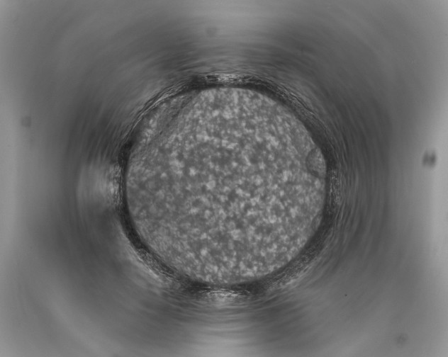 X0000089920650200707201819