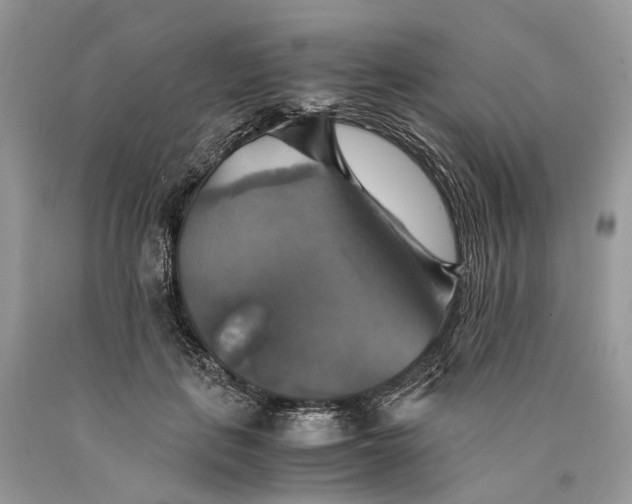 X0000089920651200707201819