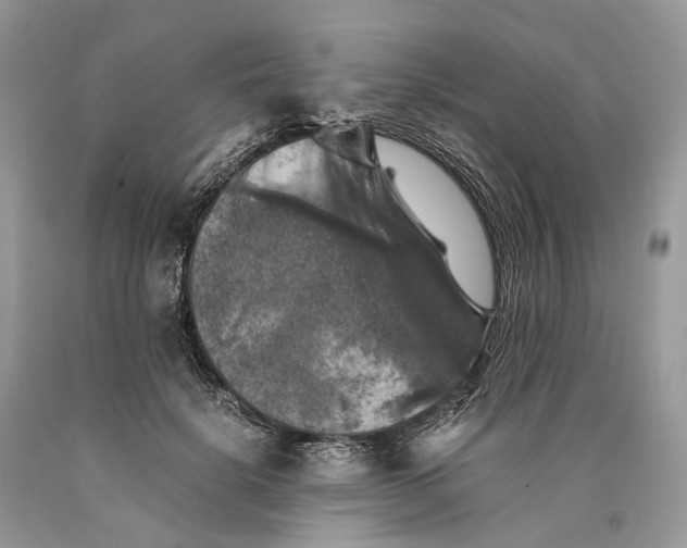 X0000089920652200707201819