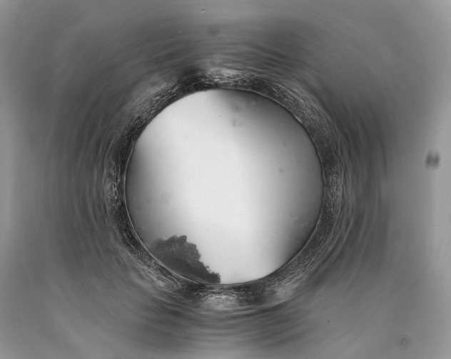 X0000089920653200707201819