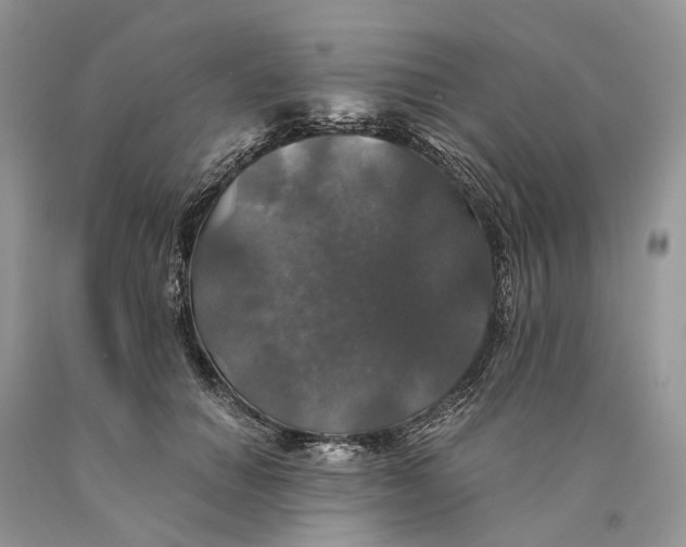 X0000089920654200707201819