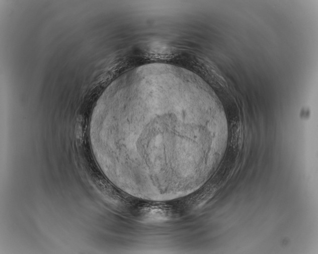 X0000089920655200707201819