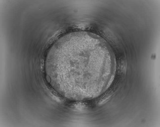 X0000089920656200707201819