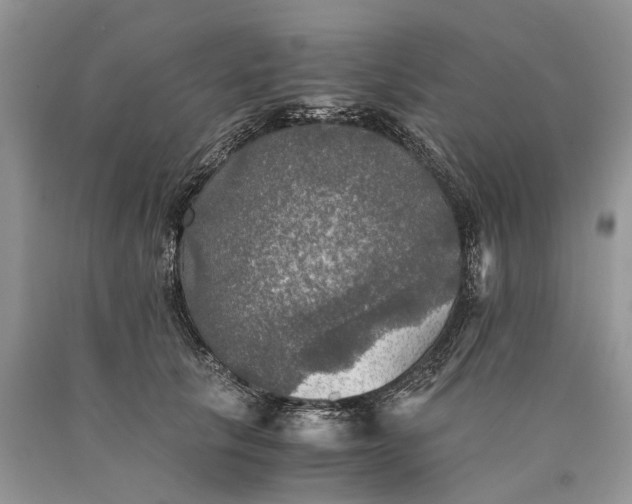 X0000089920657200707201819