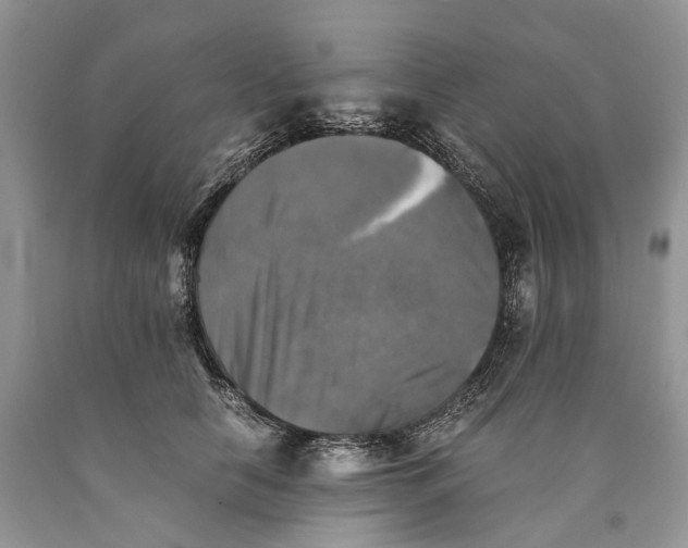 X0000089920658200707201819