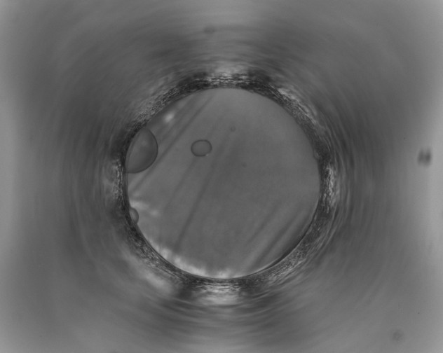 X0000089920659200707201819