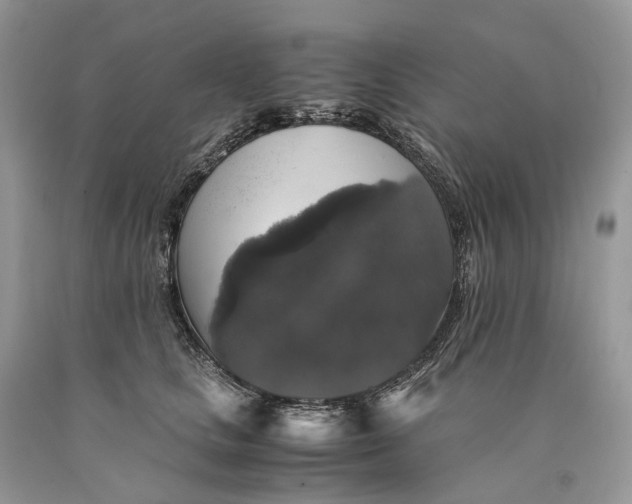 X0000089920661200707201819