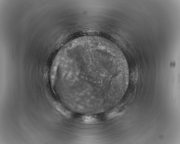 X0000089920662200707201819