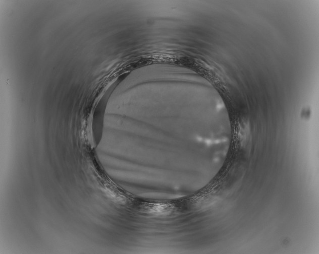 X0000089920663200707201819