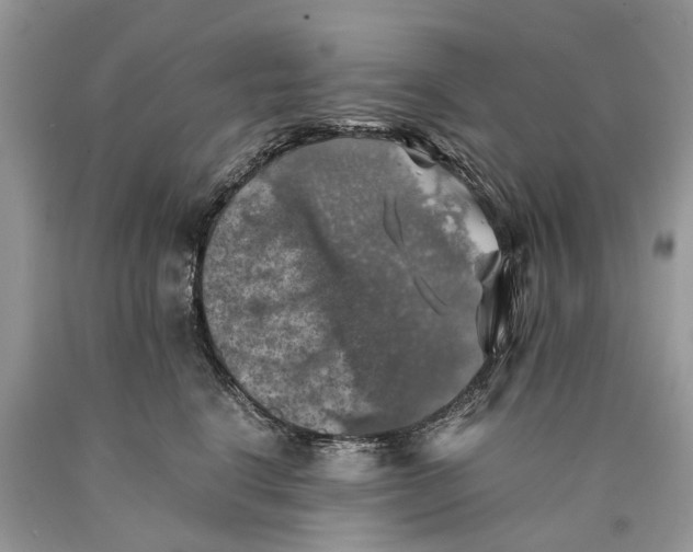 X0000089920664200707201819