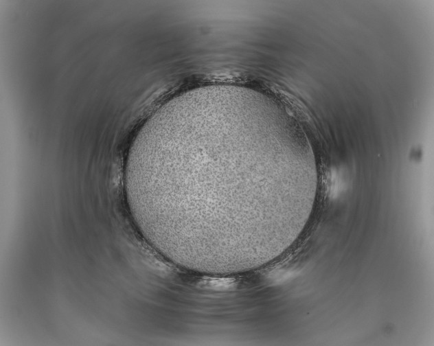 X0000089920665200707201819