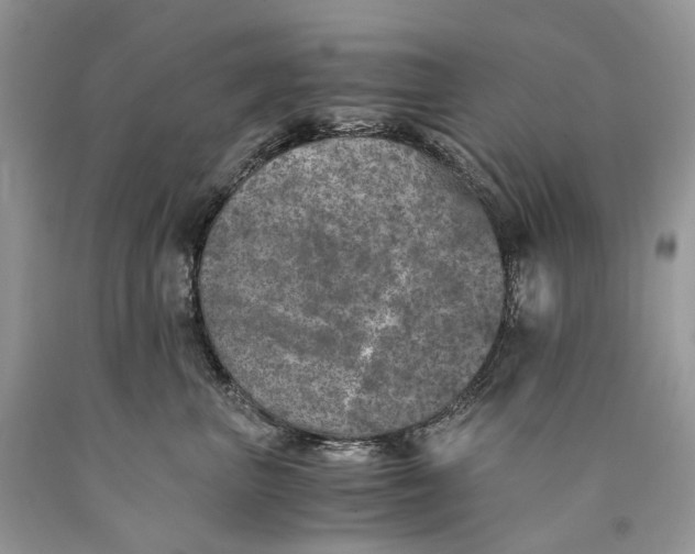 X0000089920667200707201819