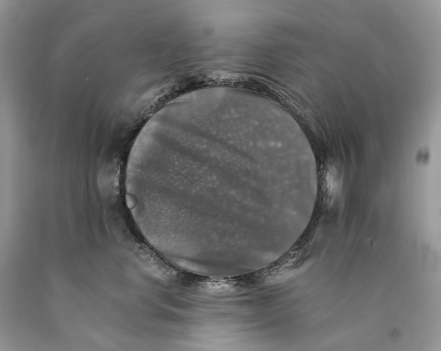 X0000089920668200707201819