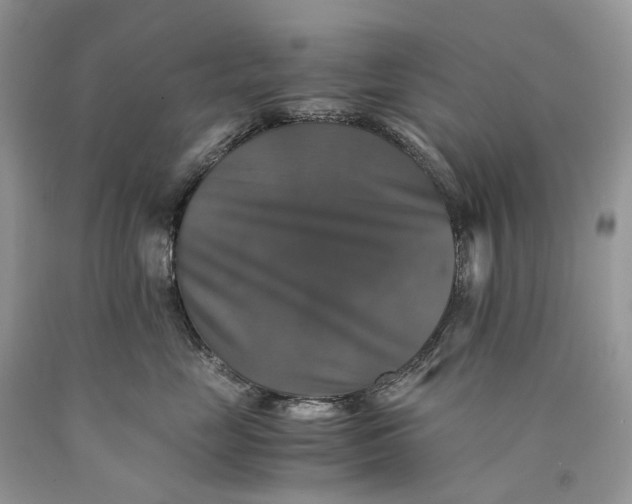 X0000089920669200707201819