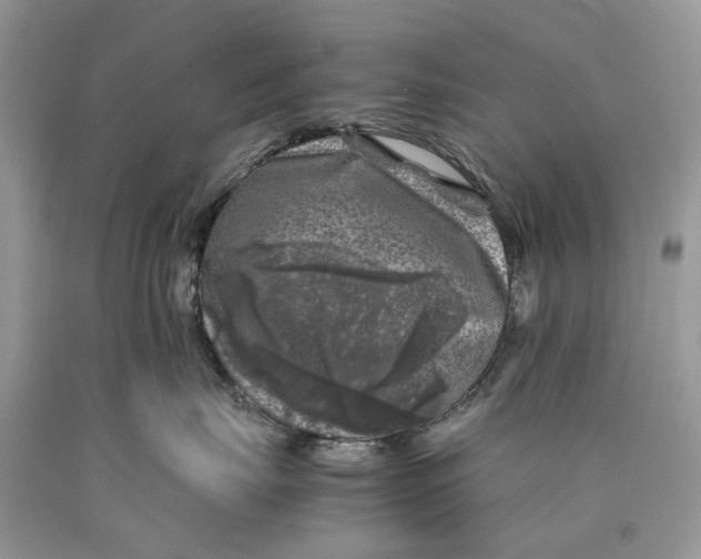 X0000089920671200707201819