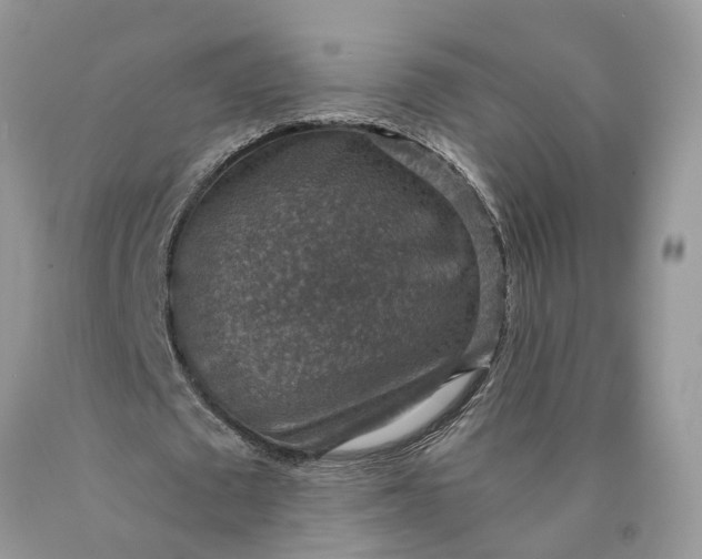 X0000089920673200707201819