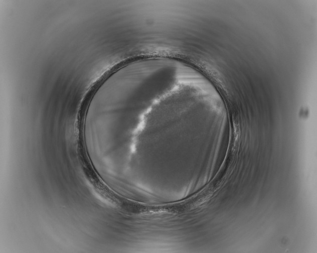 X0000089920674200707201819