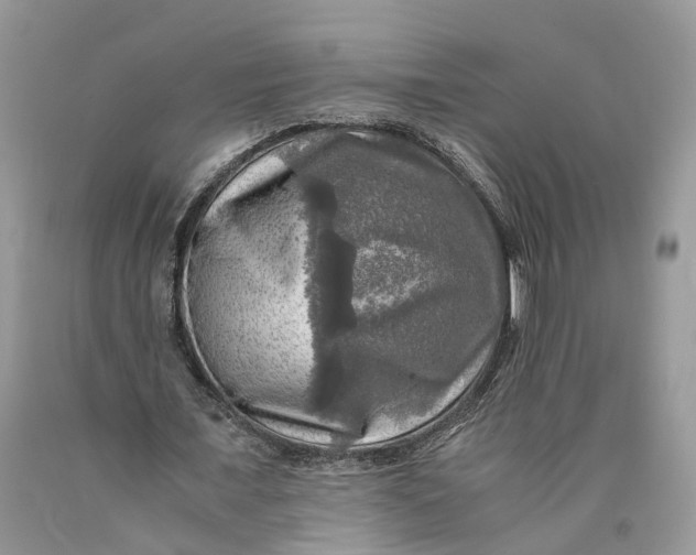 X0000089920675200707201819